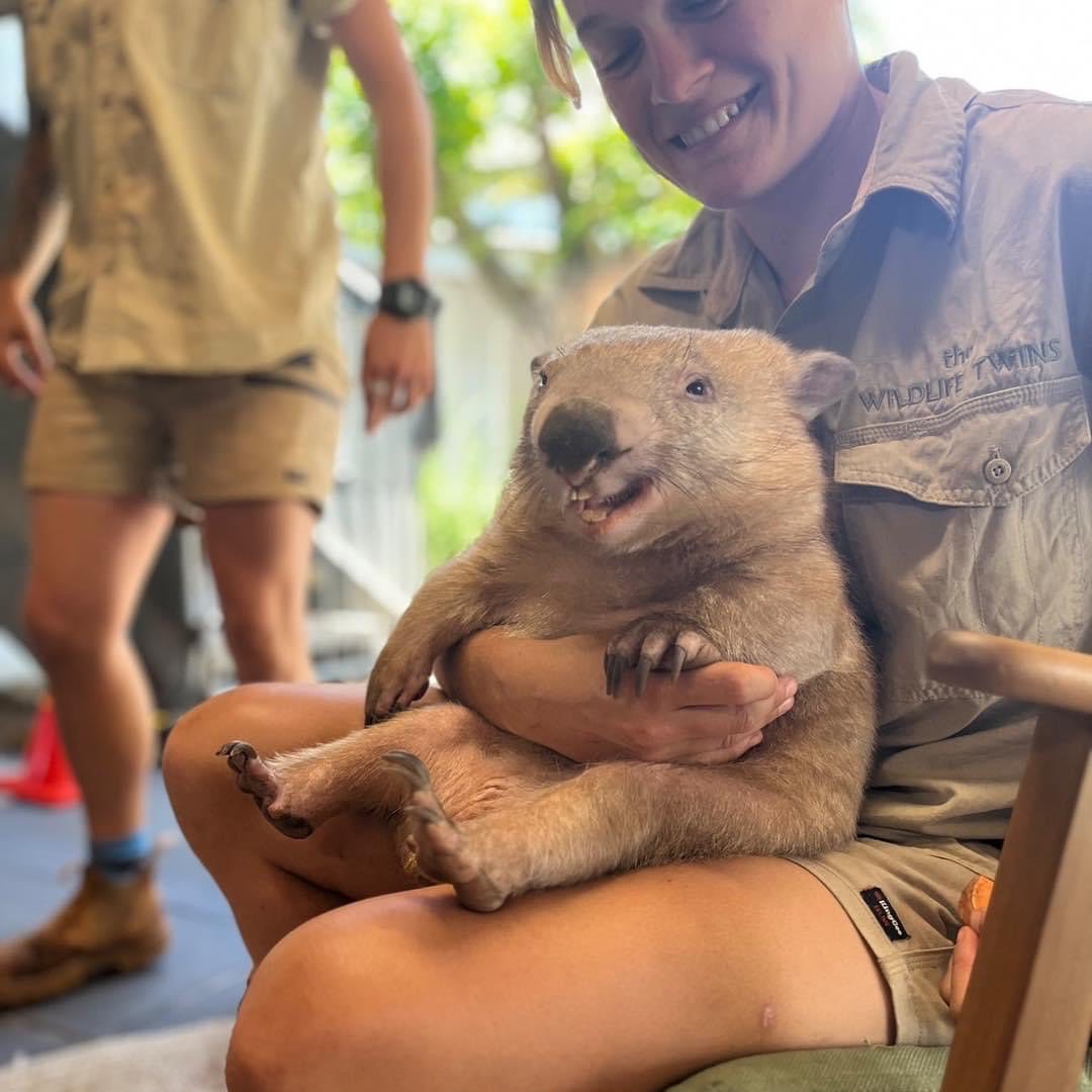 WOMBAT Socks