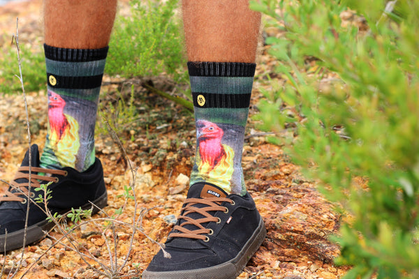 Bush turkey socks brush turkey socks nature wildlife socks byron bay nsw australia fashion photography funny socks style lifestyle mennie brand
