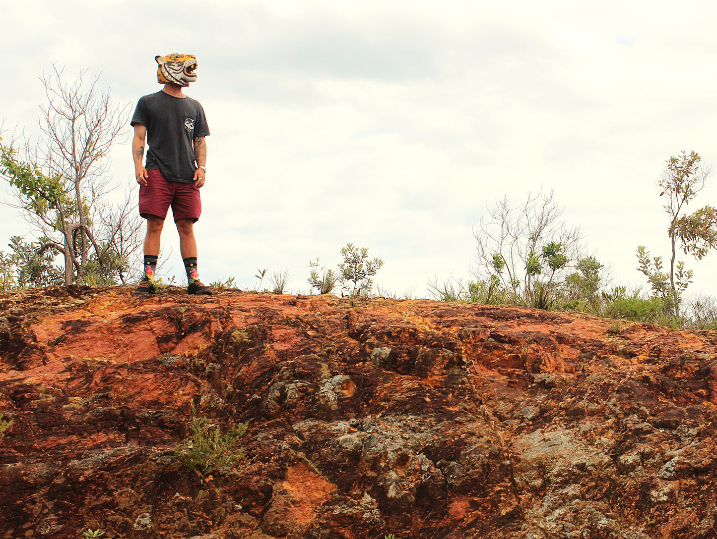 BUSH TURKEY Socks